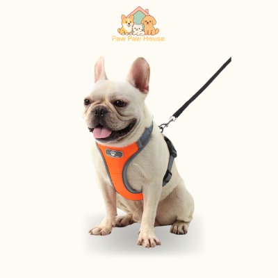 Dây Dắt Yếm Thoáng Khí Diamond Cho Chó Mèo