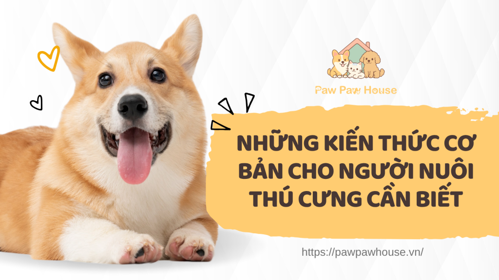 Những Kiến Thức Cơ Bản Cho Người Nuôi Thú Cưng Cần Biết