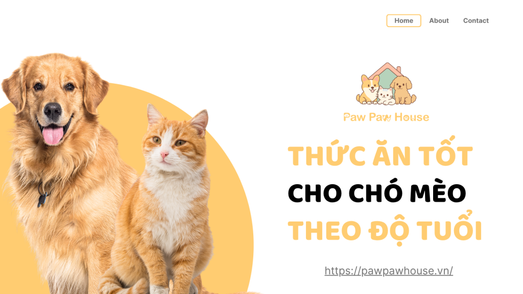Thức Ăn Tốt Cho Chó Mèo Theo Từng Độ Tuổi