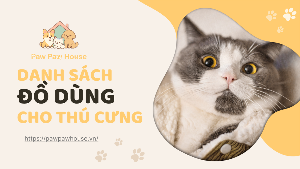 Danh Sách Đồ Dùng Cơ Bản Khi Đón Thú Cưng Về Nhà