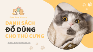 Danh Sách Đồ Dùng Cơ Bản Khi Đón Thú Cưng Về Nhà