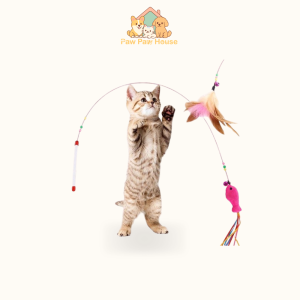 Cần Câu Mèo Chuông Lông Vũ