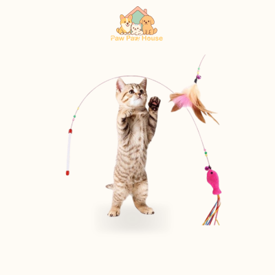 Cần Câu Mèo Chuông Lông Vũ